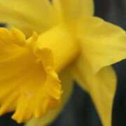 ヒメ日記 2026/03/01 07:15 投稿 三原 さゆり ベストマダム