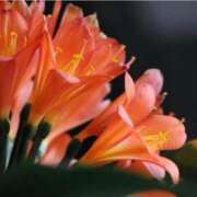 ヒメ日記 2026/03/05 07:15 投稿 三原 さゆり ベストマダム