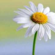 ヒメ日記 2026/03/06 07:15 投稿 三原 さゆり ベストマダム