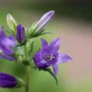 ヒメ日記 2026/03/07 07:15 投稿 三原 さゆり ベストマダム