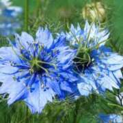 ヒメ日記 2026/03/08 07:15 投稿 三原 さゆり ベストマダム