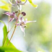 ヒメ日記 2026/03/13 07:15 投稿 三原 さゆり ベストマダム