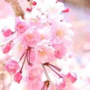 ヒメ日記 2026/03/19 07:15 投稿 三原 さゆり ベストマダム