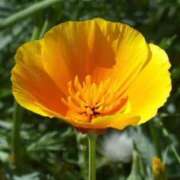 ヒメ日記 2026/03/24 07:15 投稿 三原 さゆり ベストマダム