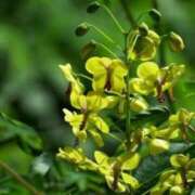 ヒメ日記 2026/03/25 07:15 投稿 三原 さゆり ベストマダム