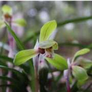 ヒメ日記 2026/03/26 07:15 投稿 三原 さゆり ベストマダム