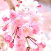 ヒメ日記 2026/03/30 07:15 投稿 三原 さゆり ベストマダム