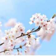 ヒメ日記 2026/04/01 07:15 投稿 三原 さゆり ベストマダム