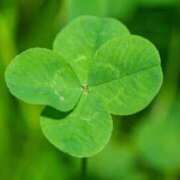 ヒメ日記 2026/04/02 07:15 投稿 三原 さゆり ベストマダム