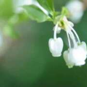 ヒメ日記 2026/04/14 07:15 投稿 三原 さゆり ベストマダム