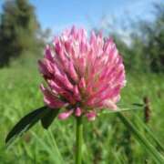 ヒメ日記 2026/04/18 07:15 投稿 三原 さゆり ベストマダム