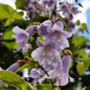 ヒメ日記 2026/05/09 07:15 投稿 三原 さゆり ベストマダム