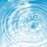 ヒメ日記 2025/03/19 10:07 投稿 すい 岐阜岐南各務原ちゃんこ