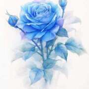 すい お久しぶりです🌞 岐阜岐南各務原ちゃんこ