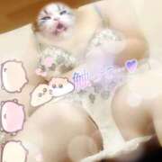 ヒメ日記 2025/10/28 12:06 投稿 ほたる 熟女の風俗最終章　越谷店