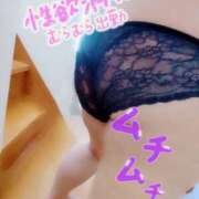 ヒメ日記 2025/03/09 12:22 投稿 ほたる 熟女の風俗最終章 西川口店