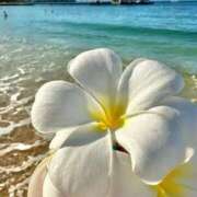 ヒメ日記 2025/07/31 11:51 投稿 広瀬 あいり ホットポイント パート2