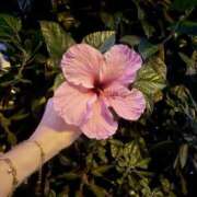 ヒメ日記 2025/10/16 08:17 投稿 広瀬 あいり ホットポイント パート2