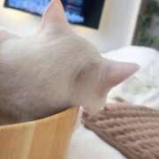 ヒメ日記 2026/01/18 13:09 投稿 広瀬 あいり ホットポイント パート2