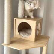 ヒメ日記 2026/01/24 21:18 投稿 広瀬 あいり ホットポイント パート2