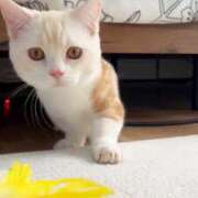 ヒメ日記 2026/04/16 12:04 投稿 広瀬 あいり ホットポイント パート2