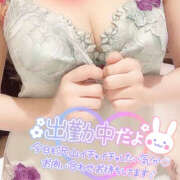 ヒメ日記 2025/05/01 09:09 投稿 れみ ハピネス札幌