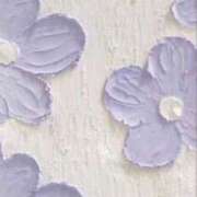 ヒメ日記 2025/05/20 11:46 投稿 くくる 千葉サンキュー