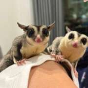 ヒメ日記 2025/08/05 06:21 投稿 ちな 即アポマダム～名古屋店～