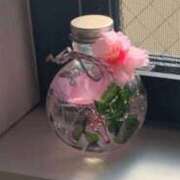 ヒメ日記 2025/11/23 09:59 投稿 ちな 即アポマダム～名古屋店～