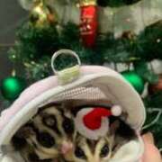 ちな ちなです 即アポマダム~名古屋店~