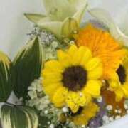 ヒメ日記 2025/12/20 06:31 投稿 ちな 即アポマダム～名古屋店～