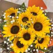 ヒメ日記 2025/12/29 13:41 投稿 ちな 即アポマダム～名古屋店～