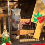 ヒメ日記 2026/01/05 08:21 投稿 ちな 即アポマダム～名古屋店～