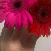 ヒメ日記 2025/08/21 05:51 投稿 ちな 即アポ奥さん〜名古屋店〜