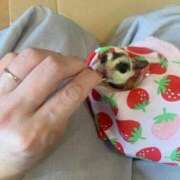 ヒメ日記 2025/09/19 05:17 投稿 ちな 即アポ奥さん〜名古屋店〜