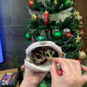 ヒメ日記 2025/12/04 23:21 投稿 ちな 即アポ奥さん〜名古屋店〜