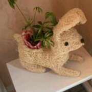 ちな ちなです 即アポ奥さん〜名古屋店〜