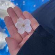 ヒメ日記 2025/04/07 15:29 投稿 ろあ 熟女家 東大阪店（布施・長田）