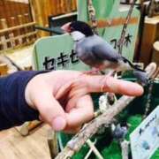 ヒメ日記 2025/06/16 15:25 投稿 ろあ 熟女家 東大阪店（布施・長田）