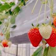 ヒメ日記 2025/04/10 11:30 投稿 まどか 湯房 湯島御殿