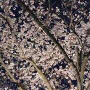 ヒメ日記 2025/04/15 18:05 投稿 まどか 湯房 湯島御殿