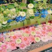 ヒメ日記 2025/04/21 23:26 投稿 まどか 湯房 湯島御殿