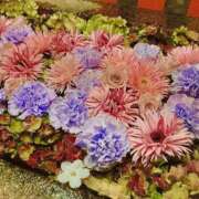 ヒメ日記 2025/04/24 06:15 投稿 まどか 湯房 湯島御殿