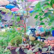 ヒメ日記 2025/08/15 06:15 投稿 まどか 湯房 湯島御殿