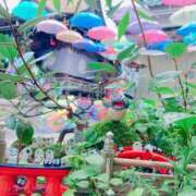 ヒメ日記 2025/08/24 14:45 投稿 まどか 湯房 湯島御殿