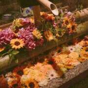 ヒメ日記 2025/08/26 22:55 投稿 まどか 湯房 湯島御殿