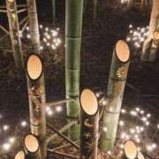 ヒメ日記 2025/10/13 00:30 投稿 まどか 湯房 湯島御殿