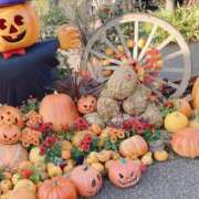 ヒメ日記 2025/10/28 16:26 投稿 まどか 湯房 湯島御殿