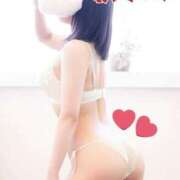 ヒメ日記 2026/03/13 06:00 投稿 まどか 湯房 湯島御殿