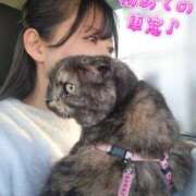 ヒメ日記 2025/03/08 00:56 投稿 花咲ななみ ZERO-i